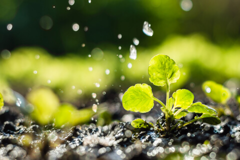 Environmental